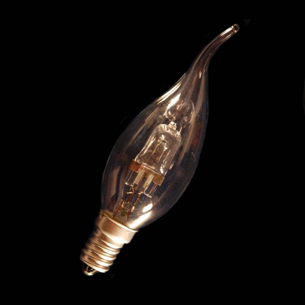 (image for) Bulbs